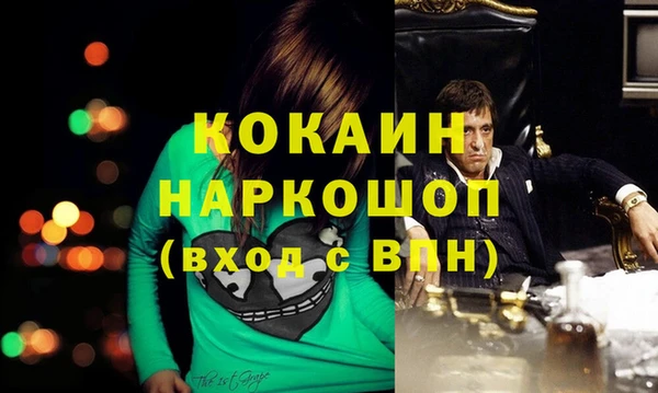 индика Кодинск