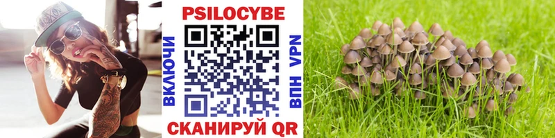 где продают   Мосальск  Псилоцибиновые грибы ЛСД 